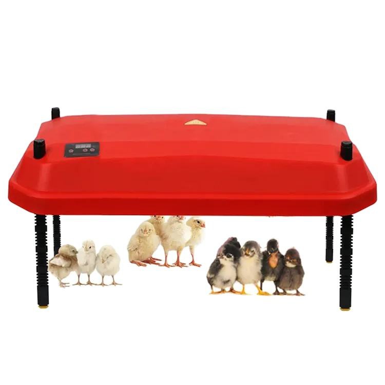 Adjustable Red Heating Plate for Poultry Brooding
